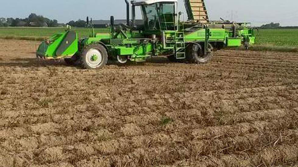 Akkerbouwer Tonis Boot is begonnen met de oogst van de Challengers, nadat de aardappelen veertien dagen daarvoor zijn doodgespoten. Het rooien gaat vlot, twittert hij. ‘Af en toe wel wat kluiten, maar het is acceptabel.’