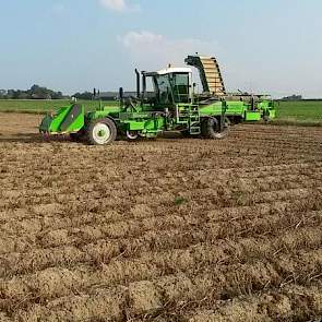Akkerbouwer Tonis Boot is begonnen met de oogst van de Challengers, nadat de aardappelen veertien dagen daarvoor zijn doodgespoten. Het rooien gaat vlot, twittert hij. ‘Af en toe wel wat kluiten, maar het is acceptabel.’