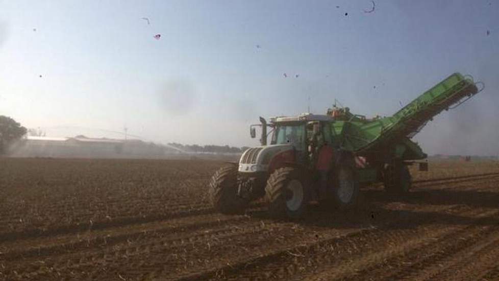 Het aardappelen rooien gaat goed na 12 mm, zegt akkerbouwer René van den Dries uit Nagele. ´Geen last meer van kluiten.´