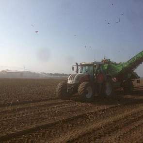 Het aardappelen rooien gaat goed na 12 mm, zegt akkerbouwer René van den Dries uit Nagele. ´Geen last meer van kluiten.´