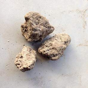 Schreuder vraagt zich af wat wijsheid is: ‘Aardappelen beregenen of wachten op regen.’ Steven Gielen vraagt zich hierop vervolgens af of beregenen economisch wel verantwoord is met de huidige aardappelprijs. ‘Het is nog geen oktober.’