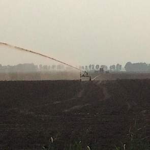 Olaf van Campen blijft het een gek gezicht vinden. ‘Al die haspels in de polder op 16 september.’
