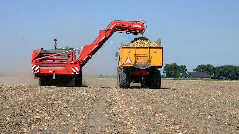 Eigenlijk begint het al bij de oogst. De algemene richtlijn is dat bij de helft van het gewas het groen er af moet zijn. (foto: Robert Ellenkamp)