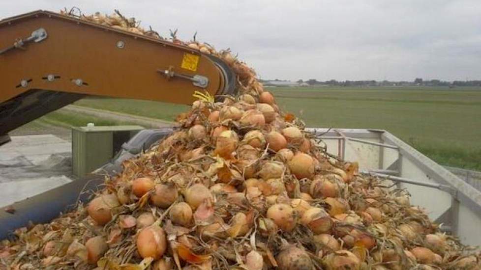 Kwaliteitsverbetering is volgens Versluis ontzettend belangrijk. „Wil je als Nederland voorop blijven lopen dan moet je iets aan de kwaliteit van de uien doen. Een bulkproduct produceren kan iedereen.” (foto: Wim de Witte)