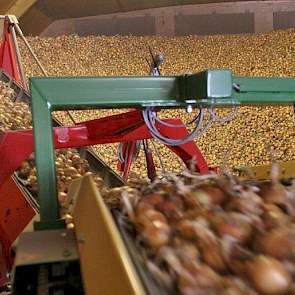 Nog te vaak merkt Versluis dat boeren het inschuurmoment bepalen op basis van de beschikbaarheid van de benodigde logistiek. Precies verkeerd om: „Bepaal wanneer het beste moment is om de uien te laten drogen, en stel daar je logistiek op in.” (foto: Susa