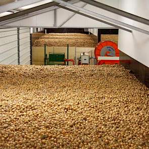 Drogen met bijvoorbeeld 18 graden in plaats van 20 graden is onvoldoende om het vocht weg te krijgen. „Zorg voor een goede uitgangspositie. De warmte die je tijdens het droogproces in de partij stopt, helpt je weer tijdens het nadrogen.” (foto: Ellen Mein