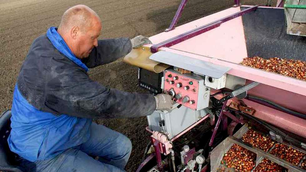 Medewerker Peter Romein van Leek Tulips bedient de machine