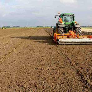 Vóór het planten wordt het geploegde land gefreesd en met een drukrol vlak gelegd.