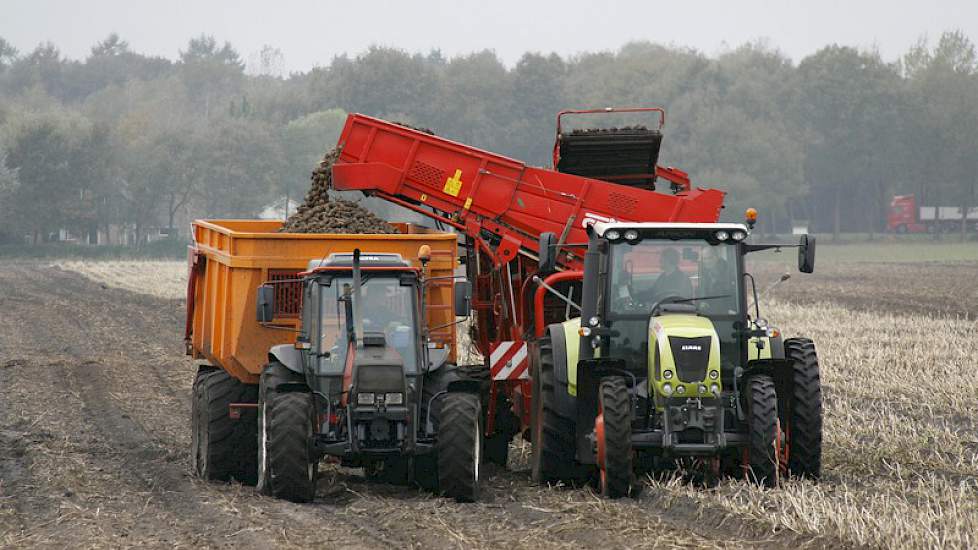 Totaal ging het bij akkerbouwer Luuk Bouwers in Zuidwolde om 70 hectare fabriekers in 2014. Door hevige regenval in het voorjaar vallen de opbrengsten voor Bouwers lager uit dan hij gehoopt had.