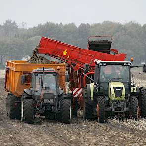 Totaal ging het bij akkerbouwer Luuk Bouwers in Zuidwolde om 70 hectare fabriekers in 2014. Door hevige regenval in het voorjaar vallen de opbrengsten voor Bouwers lager uit dan hij gehoopt had.
