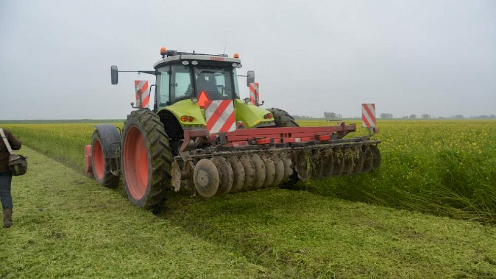 Resultaat: een kort geklepelde en mooi klein gehakselde groenbemester.