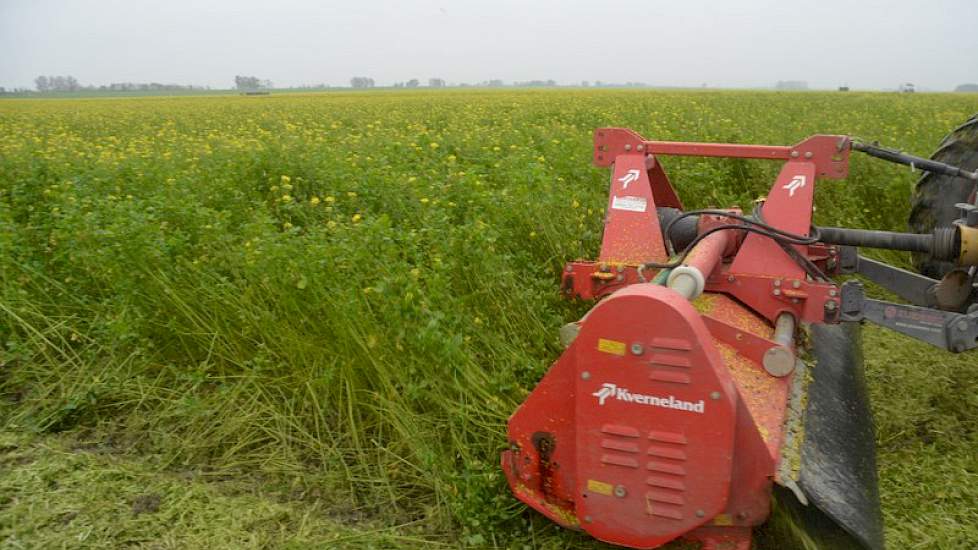 Voorbewerken met een klepelbak, zoals deze van Kverneland, is heel effectief, zegt Den Herder. ‘Het gewas wordt kort geklepeld en mooi klein gehakseld.’ Bijkomend voordeel is dat de stikstof in de organische massa in het jaar er op vrij makkelijk vrij kom
