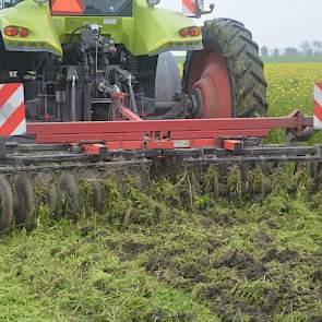 Klepelbak met schijfeg is een goede combinatie, meent Den Herder. Eén van de nadelen van deze combi is echter dat hij wat meer moeite heeft met oogst- en spuitsporen, omdat hij minder makkelijk de bodem in komt. ‘En hij heeft meerdere bewerkingen nodig om