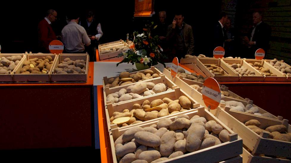 KWS Potato zet met Leonata in op de fritesaardappelmarkt, met Levinata op chips en met Bonata op vroeg en geschikt voor de thuisfrites. Bonata past goed bij de Franse afnemers.