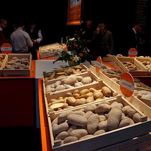 KWS Potato zet met Leonata in op de fritesaardappelmarkt, met Levinata op chips en met Bonata op vroeg en geschikt voor de thuisfrites. Bonata past goed bij de Franse afnemers.
