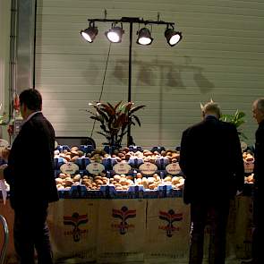 Semagri zet de eigen rassen letterlijk in de spotlights bij de show in Nagele.