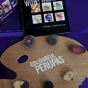 Perupas, indiaanse aardappelen uit Peru als delicatesse en een signaal van betrokkenheid bij het genencentrum van de aardappel en zijn oorspronkelijke bewoners.