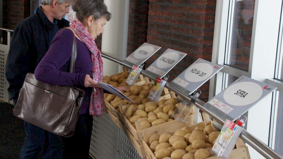 De verschillende types en bestemmingen liggen bij elkaar om het de internationale klanten eenvoudiger te maken in het woud van rassen.