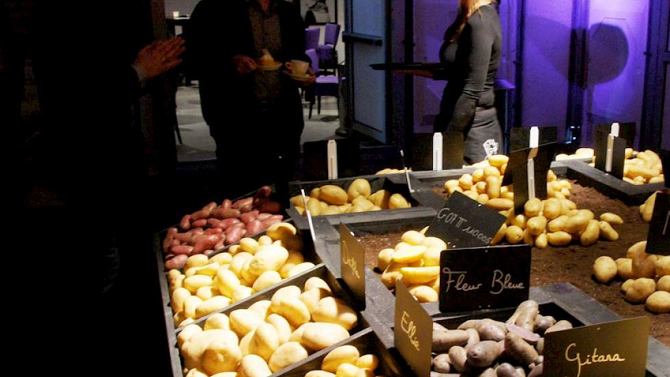 Q-Potato en Germicopa ontvingen hun gasten samen in Lemmer.