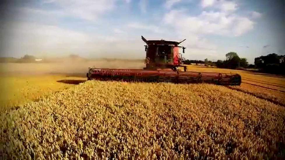 Harvest 14