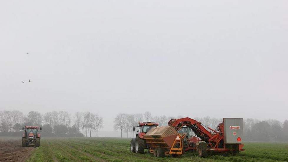 Voor de helft van zijn peen heeft Arts gekozen voor direct leveren aan een afnemer in Noord-Holland. Opslagruimte is dit jaar schaars.