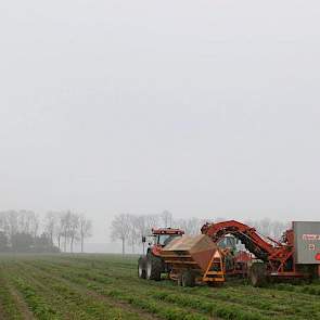 Voor de helft van zijn peen heeft Arts gekozen voor direct leveren aan een afnemer in Noord-Holland. Opslagruimte is dit jaar schaars.