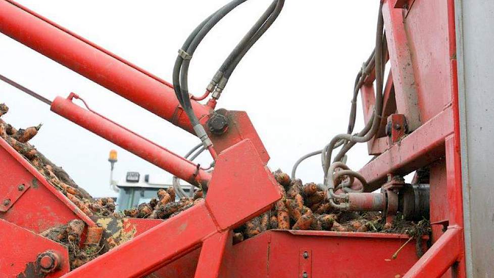 Bij uien en peen zal veel van de exportmogelijkheden naar Rusland afhangen, zegt de teler en bedrijfsadviseur van Countus.