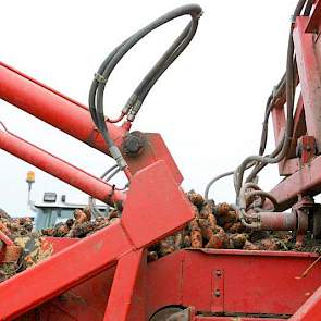 Bij uien en peen zal veel van de exportmogelijkheden naar Rusland afhangen, zegt de teler en bedrijfsadviseur van Countus.