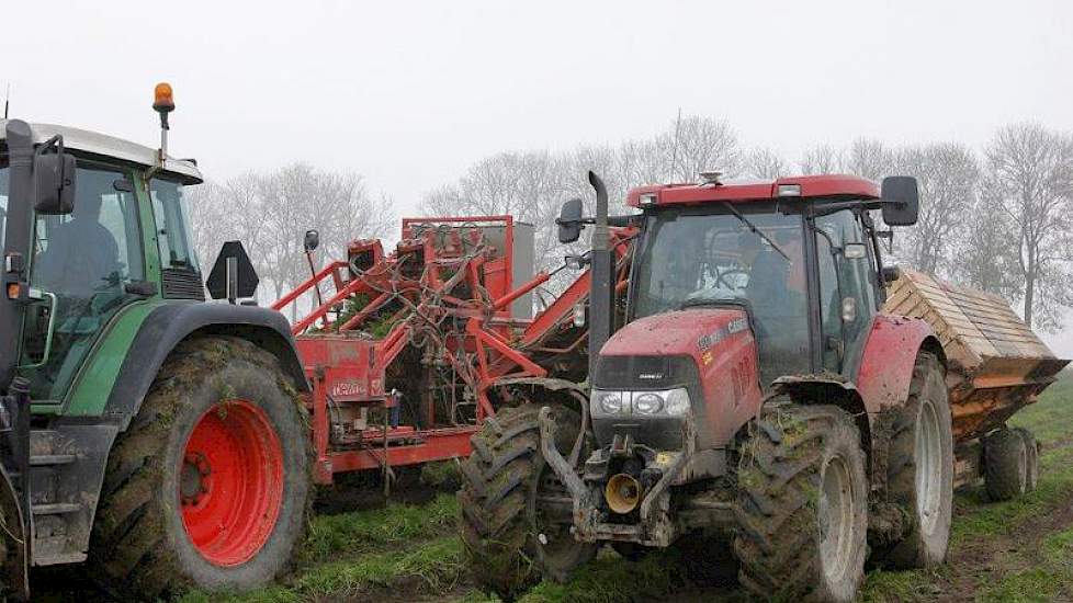 De geleverde peen wordt in de loop van december gespoeld. De rest wil Arts bewaren tot later in de winter.