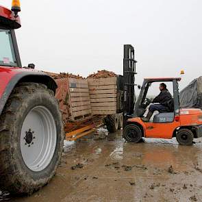 Als Bretonse telers in januari en februari door de winter even niet kunnen rooien wil Arts zijn peen verkopen.