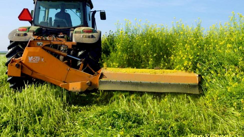 De maaiwerkzaamheden gebeurden van eind oktober tot in november. De Regt besteedt al heel veel jaren aandacht aan organische stof met de groenbemesters. Nu hij in omschakeling naar biologisch is, is dat nog belangrijker. Met ploegen zag hij goede resultat