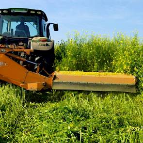 De maaiwerkzaamheden gebeurden van eind oktober tot in november. De Regt besteedt al heel veel jaren aandacht aan organische stof met de groenbemesters. Nu hij in omschakeling naar biologisch is, is dat nog belangrijker. Met ploegen zag hij goede resultat