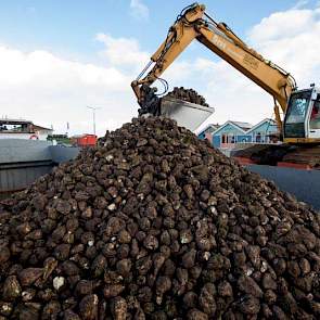 Een scheepslading is 1200 ton zwaar.