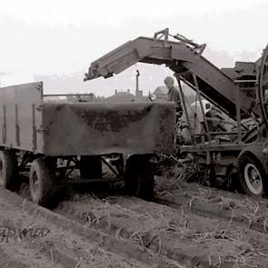 1969: Een Ford 4000 met een 2-rijige Grimme wagenrooier. De wielen van deze machine zijn schuin geplaatst, zodat deze toch een spoorbreedte van 1,50 meter heeft. Het transport gebeurt met een John Deere 920 en een Miedema zelflossende 4-wielige wagen