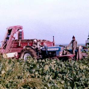 1967: Loonbedrijf Onno Bakker rooit bieten met een Vicon 2-rijer, getrokken door een Ford 4000. Henk Rijpma rijdt op de Ford Dexta met een zelflossende wagen van Schuitemaker met bietenopvoerband.