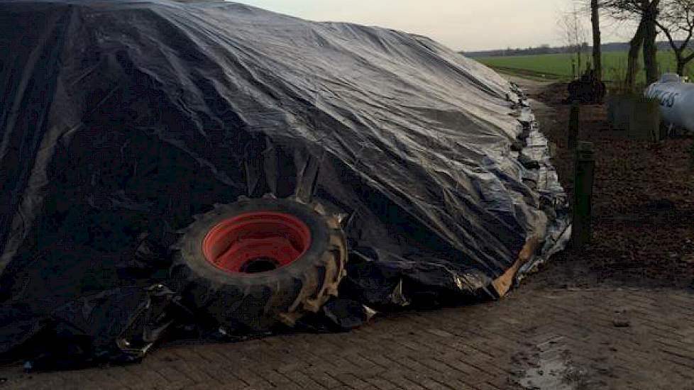 Ook Peter van Damme besloot zijn bieten af te dekken. ‘Hopelijk niet te veel wind. Anders kan de inventaris er nog op leggen’, twittert de akkerbouwer uit Biddinghuizen.