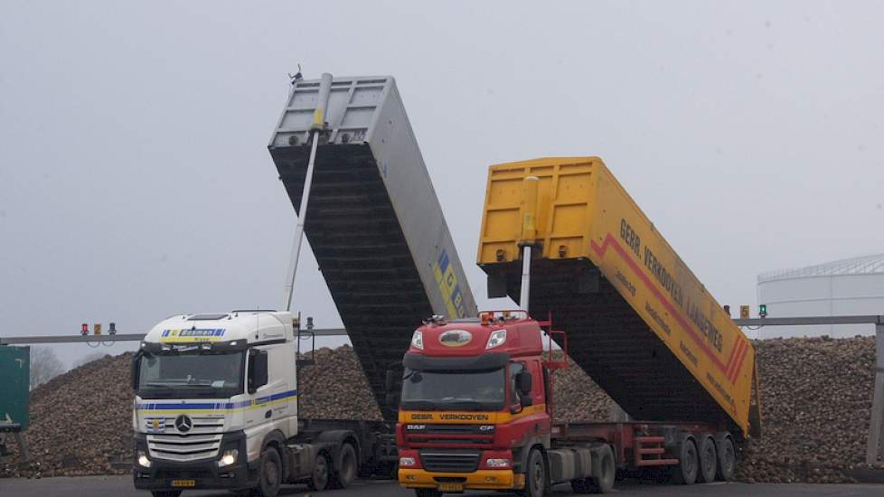 Het lossen gebeurt aan de overkant van de weg. Met een band gaan de bieten onder de weg door naar de fabriek voor verwerking.