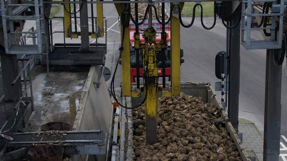 De plek waar de Rupro een monster neemt is met loting bepaald. Het kan op tien plaatsen in de vracht gebeuren.