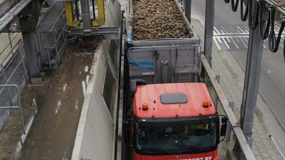 Vrachtauto's rijden onder de Rupro (Duits voor Rübenprobe) door. De installatie steekt ergens in de bieten om een monster te hebben waarmee kwaliteit en tarra bepaald wordt.
