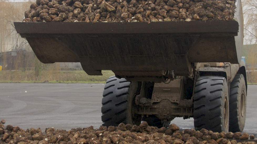 Met de shovel komen de bieten die niet direct in de bunker gelost werden daar later in.