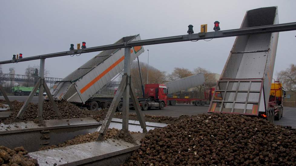 De bieten gaan in de loop van vandaag de fabriek in. Daarna duurt het nog 24 uur voor alle processen in de fabriek afgesloten kunnen worden. Schoonmaak en onderhoud start dan.