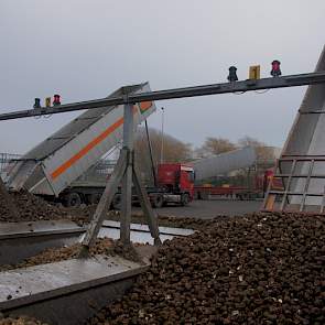De bieten gaan in de loop van vandaag de fabriek in. Daarna duurt het nog 24 uur voor alle processen in de fabriek afgesloten kunnen worden. Schoonmaak en onderhoud start dan.