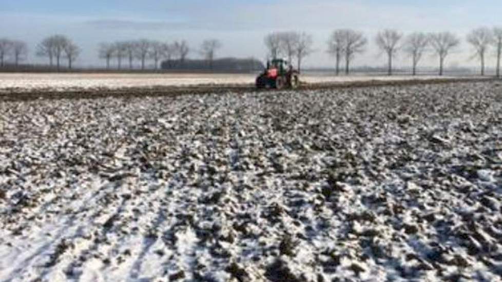 De grond is vrij zwaar. ‘Hij moest binnen nu en een paar weken geploegd worden’, aldus de akkerbouwer.