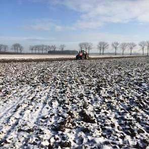De grond is vrij zwaar. ‘Hij moest binnen nu en een paar weken geploegd worden’, aldus de akkerbouwer.