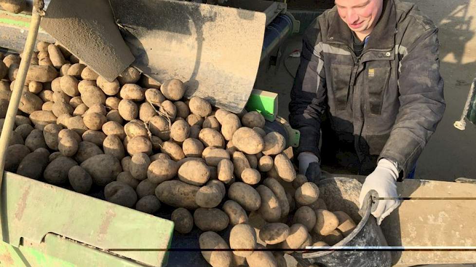 Medewerker Ruud neemt per vrachtwagen een aantal monsters voor Nedato. Deze worden later opgehaald.
