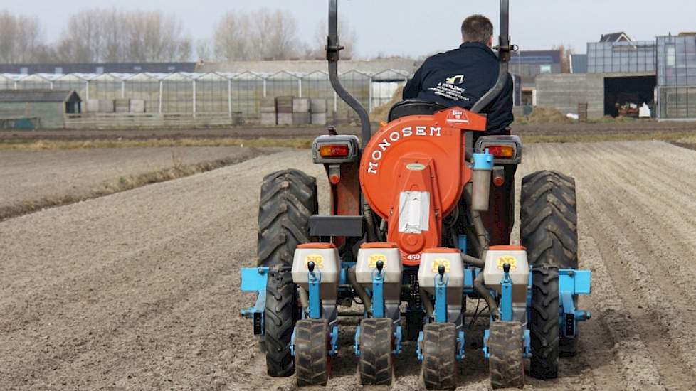 In Noordwijk (tussen Schiphol en de Noordzee) is een medewerker van loonwerkbedrijf Geerlings zonnepitten aan het zaaien. John van Berkel schat dat het om zo’n 1.000 meter zonnebloemen gaat; in hectares denkt dit loonwerkbedrijf niet of nauwelijks omdat h