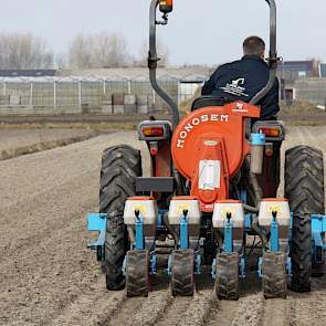 In Noordwijk (tussen Schiphol en de Noordzee) is een medewerker van loonwerkbedrijf Geerlings zonnepitten aan het zaaien. John van Berkel schat dat het om zo’n 1.000 meter zonnebloemen gaat; in hectares denkt dit loonwerkbedrijf niet of nauwelijks omdat h