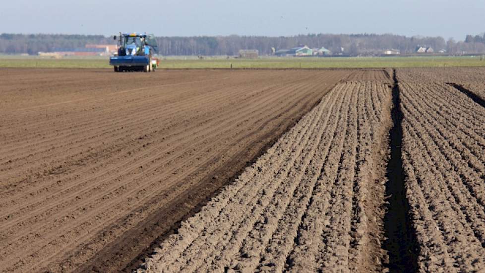 In Westelbeers, tussen Eindhoven en de grens met Belgie, gaan op een perceel van zo’n bijna 6 hectare Huybing zaaiuien de grond in. Hans van Aaken is de eigenaar van de uien. Twee medewerkers van loonwerkbedrijf Van Raak lopen het perceel na omdat er wat
