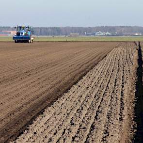 In Westelbeers, tussen Eindhoven en de grens met Belgie, gaan op een perceel van zo’n bijna 6 hectare Huybing zaaiuien de grond in. Hans van Aaken is de eigenaar van de uien. Twee medewerkers van loonwerkbedrijf Van Raak lopen het perceel na omdat er wat