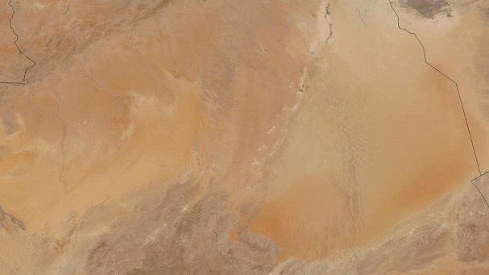 In Algerije wonen meer dan 35 miljoen mensen. Aardappelen zijn belangrijk in het voedselpakket. Nederland levert traditioneel veel pootgoed aan het Noord-Afrikaanse land.